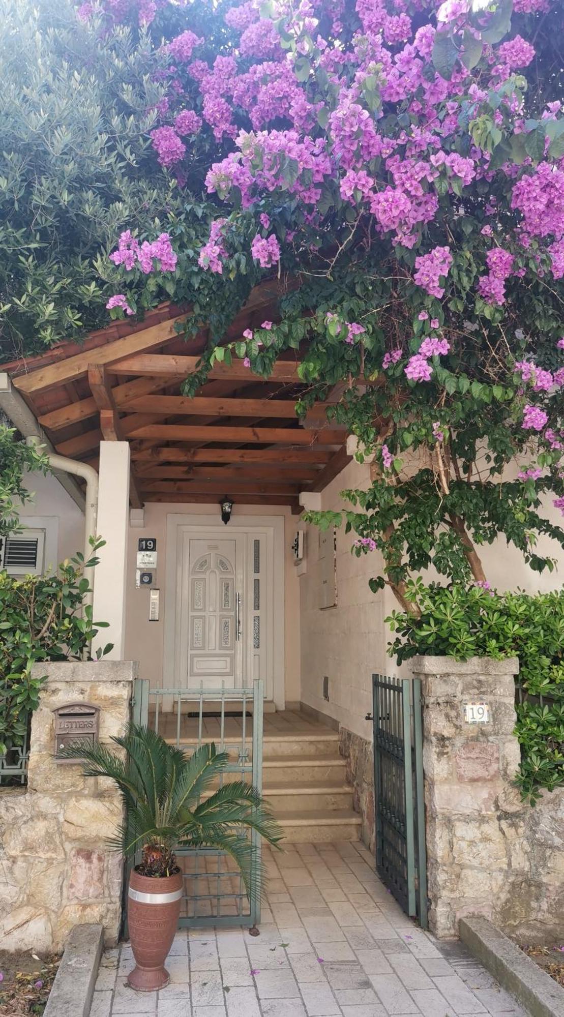 Apartments Maris Petrovac na moru Exterior foto