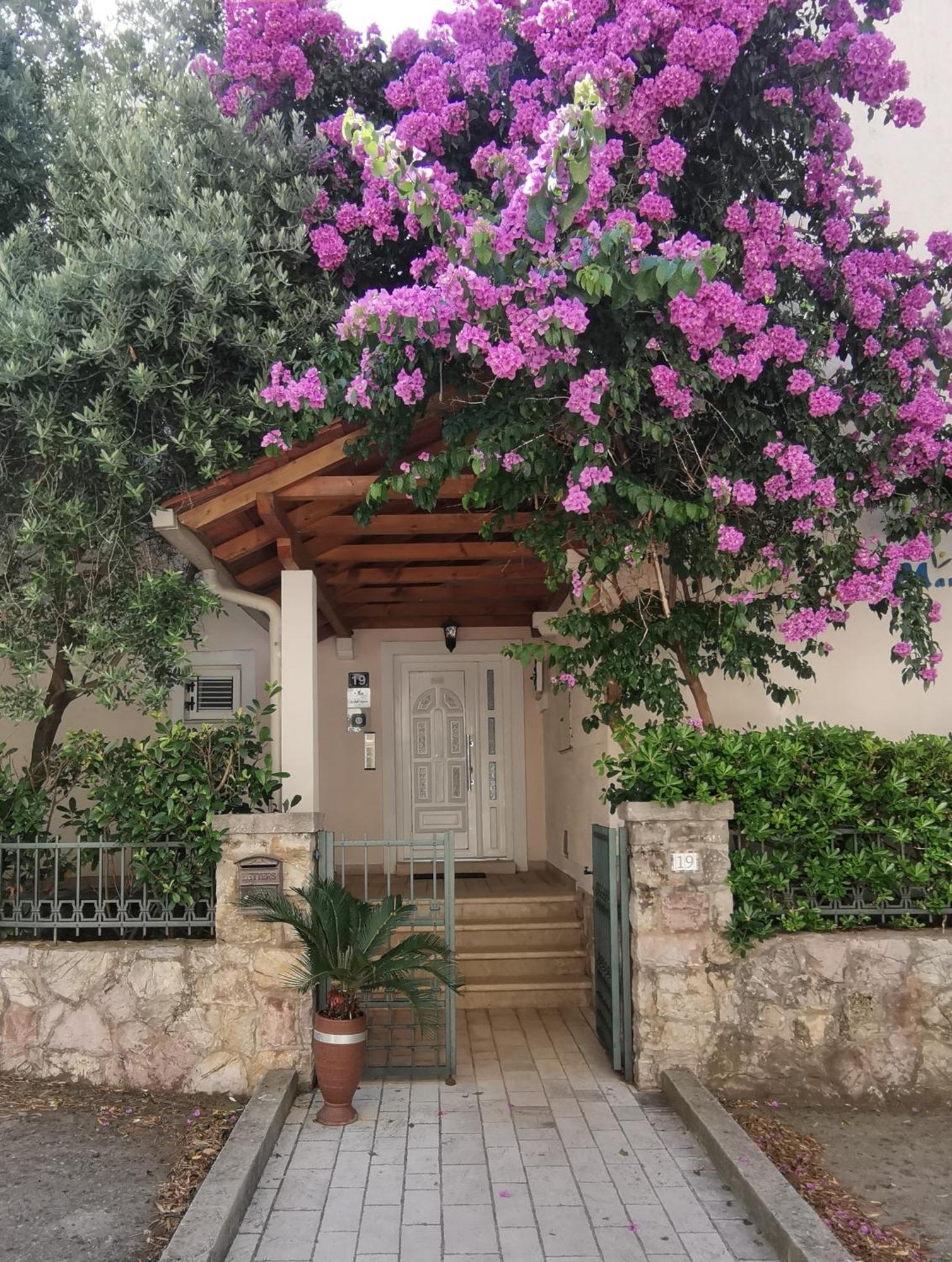 Apartments Maris Petrovac na moru Exterior foto