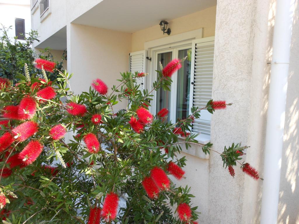 Apartments Maris Petrovac na moru Zimmer foto